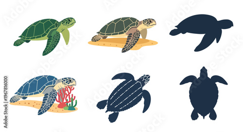 Sea Turtle Collection: Illustrated Marine Life and Silhouettes