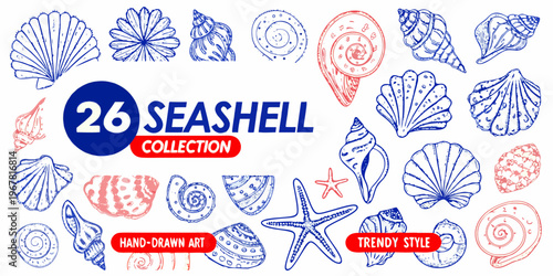 Collection of hand drawn seashells and a vibrant starfish illustration