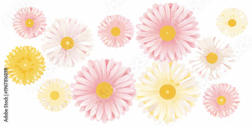 A collection of colorful daisy flowers arranged on a white background