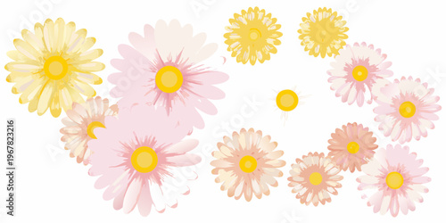 A collection of colorful daisy flowers arranged in a heart shape