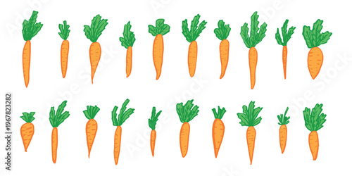 Hand drawn farm carrot plant with green leaves Fresh vegetable doodle set Healthy eco food Organic garden vegetarian food For design, print, packaging, decor, kids books