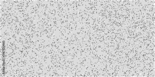 Static and grainy grayscale image resembling television snow or visual noise