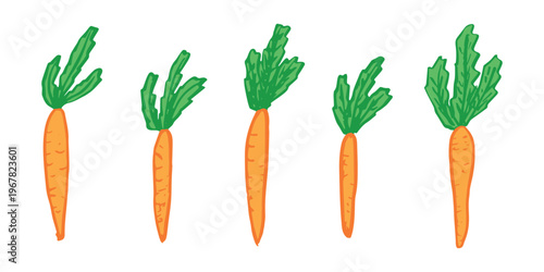 Hand drawn farm carrot plant with green leaves Fresh vegetable doodle set Healthy eco food Organic garden vegetarian food For design, print, packaging, decor, kids books