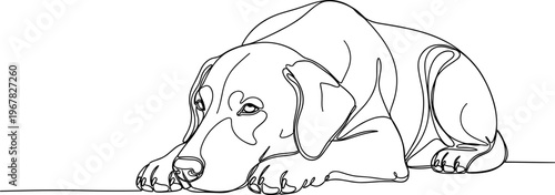 Sad dog lying on ground.