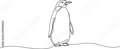 A single penguin standing alone.
