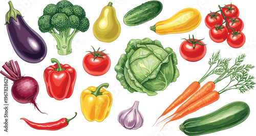 Fresh vegetable collection flat vector set. Organic farm vegetables including tomato carrot cucumber cabbage eggplant and pepper. Healthy food illustrations for cooking, grocery and vegan design.