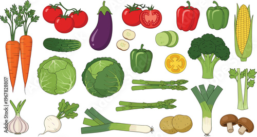 Vegetable icons flat vector set. Fresh colorful vegetables including carrot tomato cabbage broccoli corn and pepper. Healthy food illustrations for cooking, grocery and organic design.