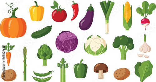 Vegetables flat vector collection. Pumpkin pepper tomato eggplant cabbage broccoli carrot and greens set. Fresh organic farm produce illustration for cooking healthy food and grocery design.