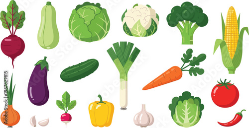 Fresh vegetables flat vector set. Beetroot cabbage cauliflower corn eggplant cucumber carrot tomato and pepper collection. Organic farm produce for cooking healthy food and grocery design.
