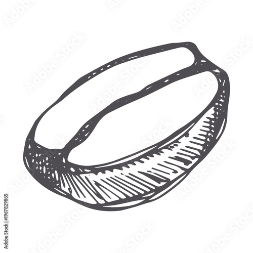 Hand drawn fresh roasted coffee bean Arabica robusta seed doodle Single element for print, web, design, decor