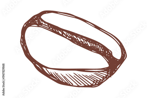 Hand drawn fresh roasted coffee bean Arabica robusta seed doodle Single element for print, web, design, decor