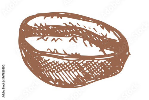Hand drawn fresh roasted coffee bean Arabica robusta seed doodle Single element for print, web, design, decor