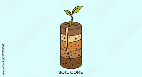 Cross section of soil core with plant sprout growing from top layer, illustration