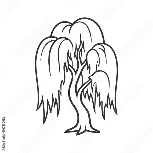 Elegant tree with drooping branches in simple black lines