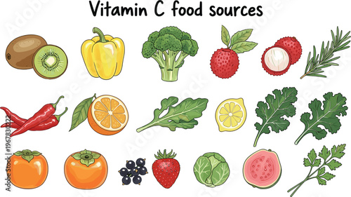 Vitamin C rich foods vector illustration set. Fruits vegetables and herbs collection kiwi pepper broccoli citrus berries and leafy greens. Healthy nutrition infographic for diet and wellness design.