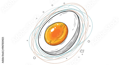 Detailed illustration of a sliced hard-boiled egg with a bright orange yolk surrounded by abstract circular artistic lines.