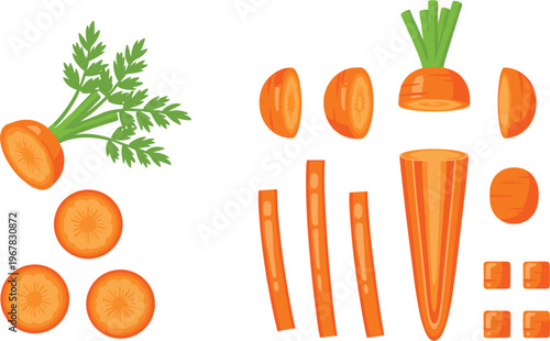 Carrot cutting styles flat vector set. Sliced diced and julienne carrot pieces with leafy tops. Fresh vegetable illustration for cooking design healthy food and recipe graphics.