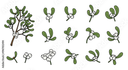Mistletoe Sprigs and Berries - Hand Drawn Christmas Holiday Elements
