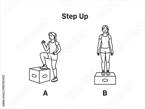 Step up exercise guide illustration vector fitness workout steps woman training isolated on white background