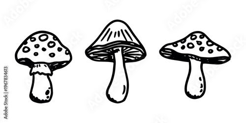Hand drawn mushroom doodle set Botanical illustration Cute autumn mushroom Healthy eco food Organic vegetarian food For stickers, greeting card, design, print, packaging, decor, kids books