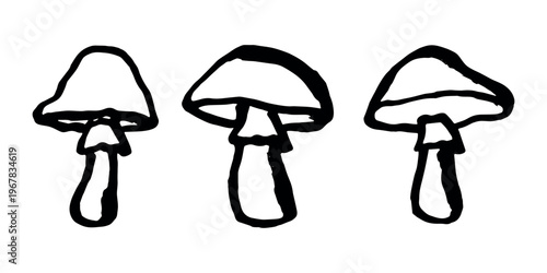 Hand drawn mushroom doodle set Botanical illustration Cute autumn mushroom Healthy eco food Organic vegetarian food For stickers, greeting card, design, print, packaging, decor, kids books