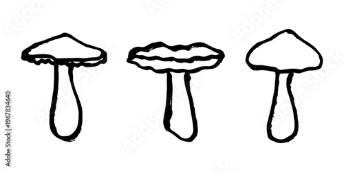 Hand drawn mushroom doodle set Botanical illustration Cute autumn mushroom Healthy eco food Organic vegetarian food For stickers, greeting card, design, print, packaging, decor, kids books