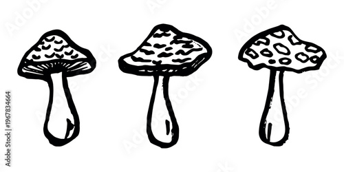 Hand drawn mushroom doodle set Botanical illustration Cute autumn mushroom Healthy eco food Organic vegetarian food For stickers, greeting card, design, print, packaging, decor, kids books