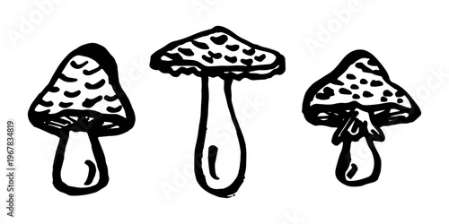 Hand drawn mushroom doodle set Botanical illustration Cute autumn mushroom Healthy eco food Organic vegetarian food For stickers, greeting card, design, print, packaging, decor, kids books