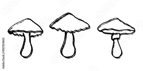 Hand drawn mushroom doodle set Botanical illustration Cute autumn mushroom Healthy eco food Organic vegetarian food For stickers, greeting card, design, print, packaging, decor, kids books