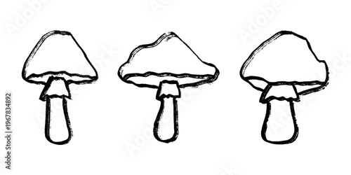 Hand drawn mushroom doodle set Botanical illustration Cute autumn mushroom Healthy eco food Organic vegetarian food For stickers, greeting card, design, print, packaging, decor, kids books