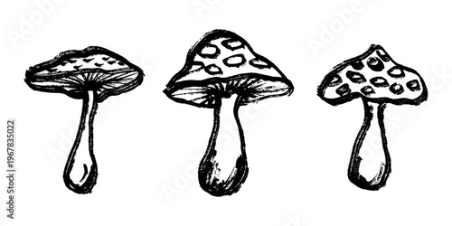 Hand drawn mushroom doodle set Botanical illustration Cute autumn mushroom Healthy eco food Organic vegetarian food For stickers, greeting card, design, print, packaging, decor, kids books