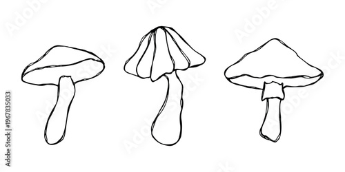 Hand drawn mushroom doodle set Botanical illustration Cute autumn mushroom Healthy eco food Organic vegetarian food For stickers, greeting card, design, print, packaging, decor, kids books