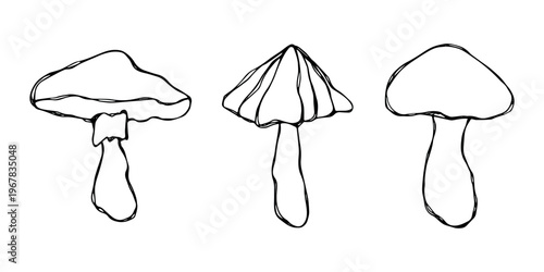 Hand drawn mushroom doodle set Botanical illustration Cute autumn mushroom Healthy eco food Organic vegetarian food For stickers, greeting card, design, print, packaging, decor, kids books