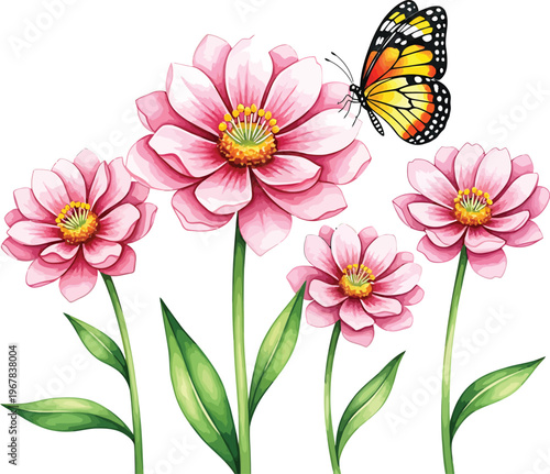Pink Flowers with Monarch Butterfly on White Background