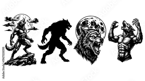 Four werewolf illustrations in different poses and styles shown