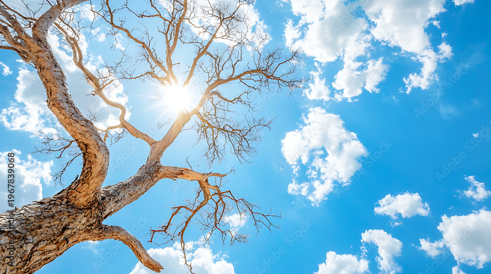 Fototapeta premium Dead tree stands against bright blue sky filled with fluffy white clouds, creating serene and peaceful atmosphere
