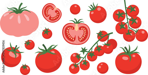 Tomato varieties flat vector set. Cherry, whole, sliced and vine tomatoes in different shapes. Fresh organic food illustrations for cooking, grocery, and farm design.