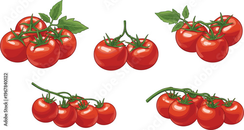 Cherry tomato clusters flat vector set. Fresh red tomatoes with stems and leaves in different arrangements. Organic food illustrations for grocery, recipes, and farm design.