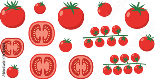 Tomato vector set with whole fruits, slices, and cherry tomato branches. Fresh red tomatoes in different sizes. Organic food illustration for cooking and grocery design.