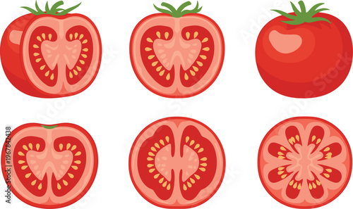 Tomato cross section vector set with slices and halves. Whole and cut tomatoes with seed details. Fresh organic food illustration for cooking and grocery design.