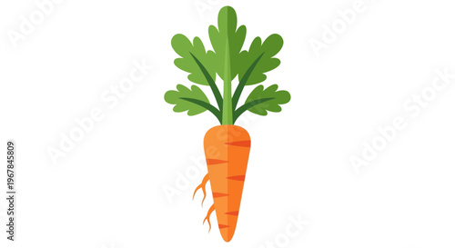 Fresh Carrot with Green Leaves Isolated on White Background, Healthy Food Icon