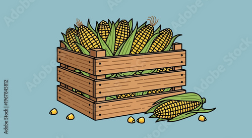 Fresh Corn Harvest in Wooden Crate, Healthy Food, Organic Produce
