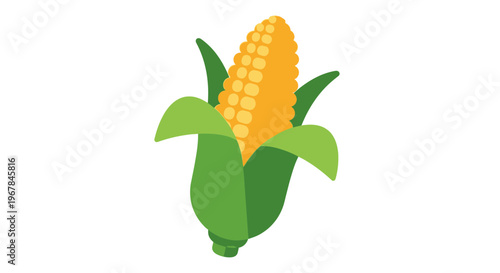 Fresh Corn Husk Illustration on White Background
