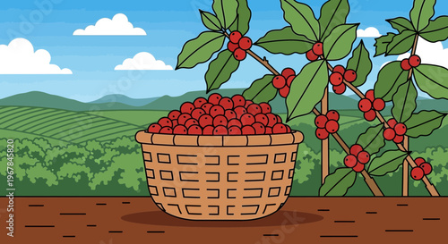 Fresh Coffee Harvest: Basket Full of Red Cherries on Plantations Background