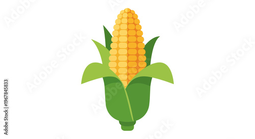 Fresh Corn on the Cob with Green Leaves, Isolated on White Background, Healthy Food