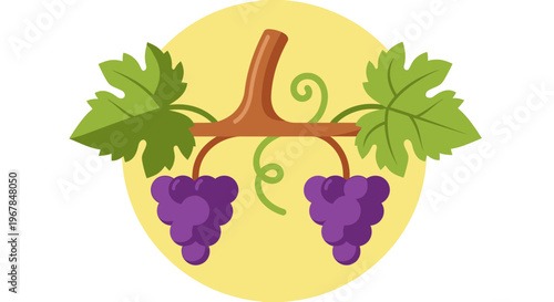 Purple Grapes on Vine with Green Leaves, Circle Graphic, Flat Design