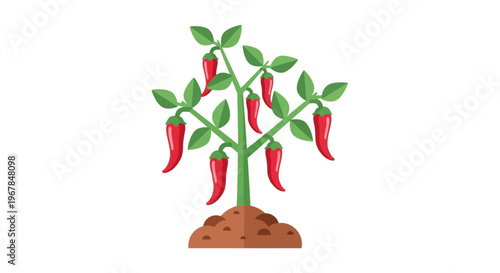 Red Chili Pepper Plant Growing in Soil - Flat Illustration