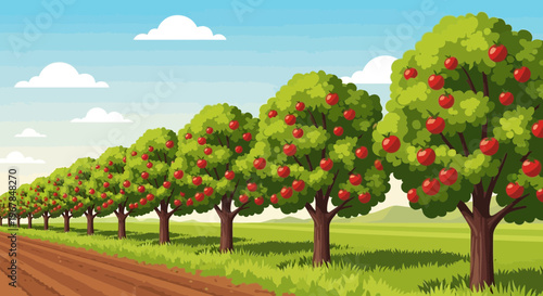 Row of ripe apple trees in a picturesque orchard under a blue sky with clouds