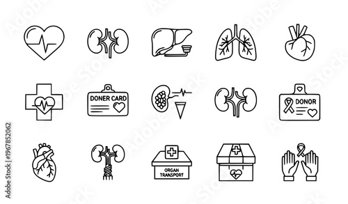 Organ Donation Outline Icon Set with Heart Kidney Transplant and Medical Donor Symbols for Web Design Vector