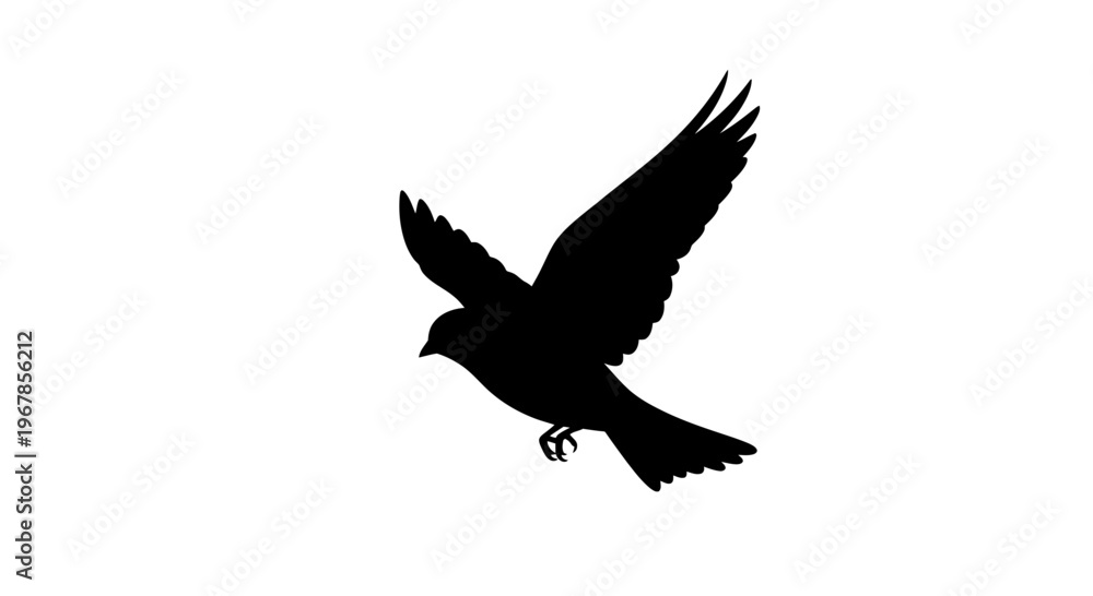 Fototapeta premium Silhouette of a bird flying with wings spread wide against a white background